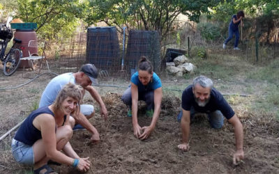 Atelier jardin