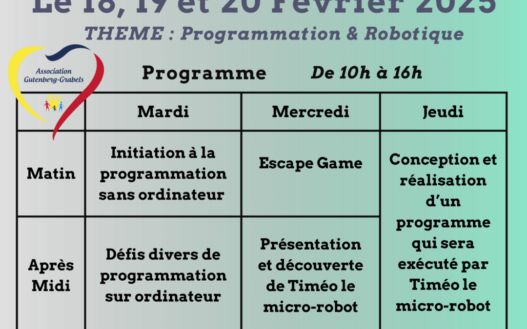 STAGE SCIENTIFIQUE : Programmation & Robotique